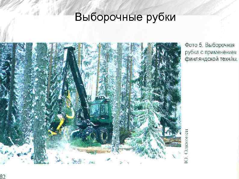 Выборочные рубки 