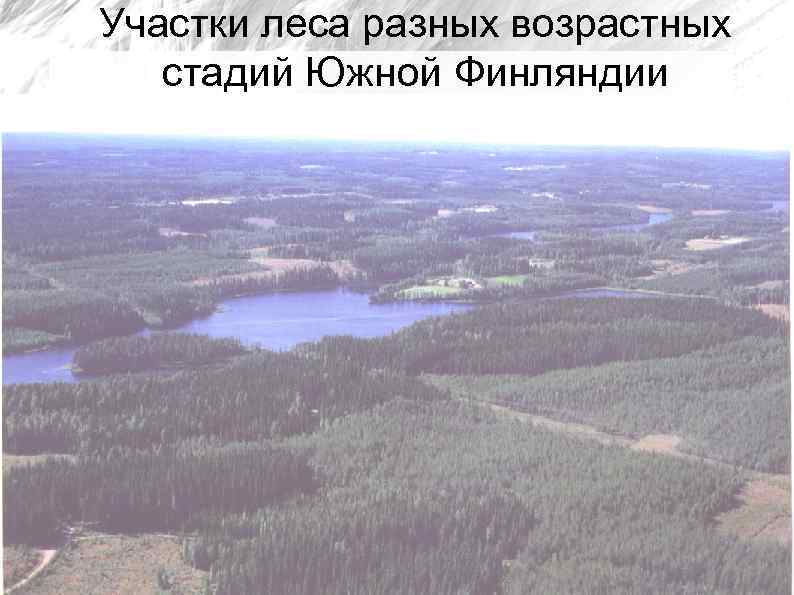 Участки леса разных возрастных стадий Южной Финляндии 