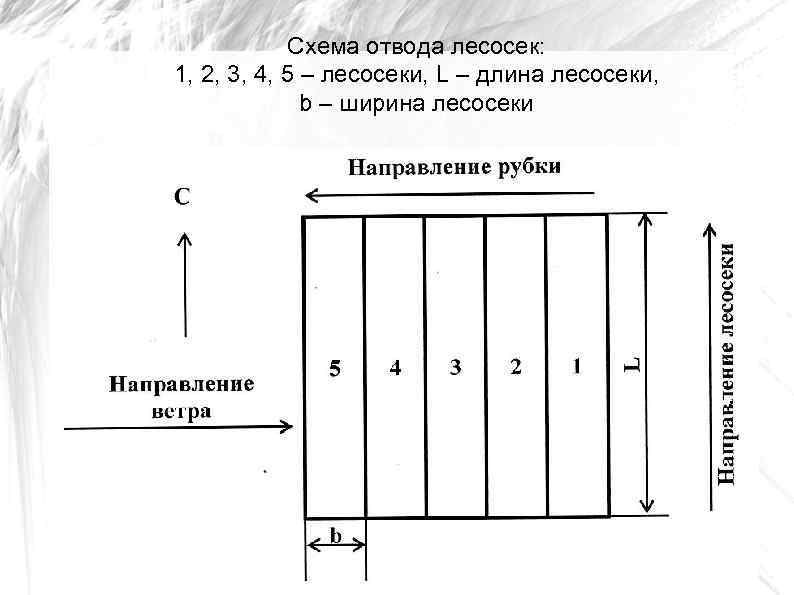 Схема отвода лесосек: 1, 2, 3, 4, 5 – лесосеки, L – длина лесосеки,