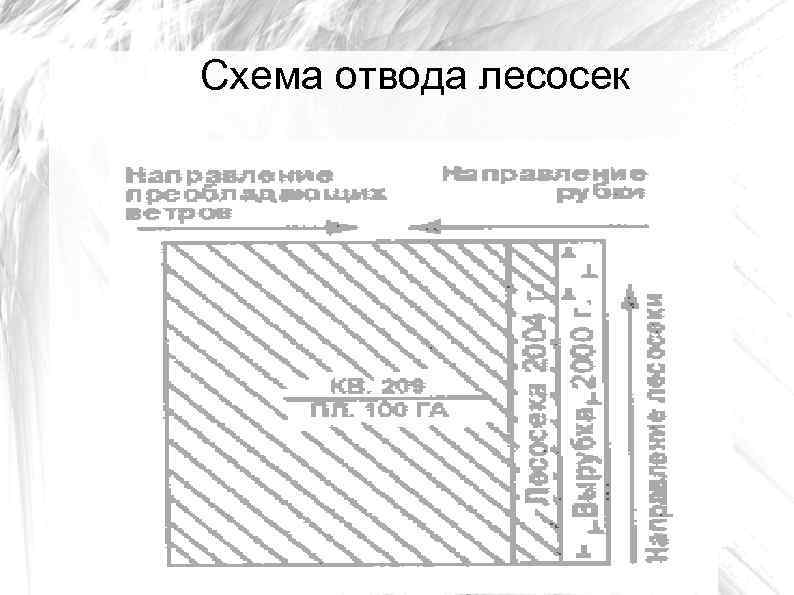 Схема отвода лесосек 