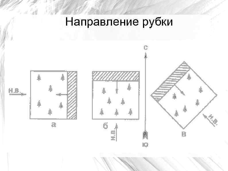 Направление рубки 
