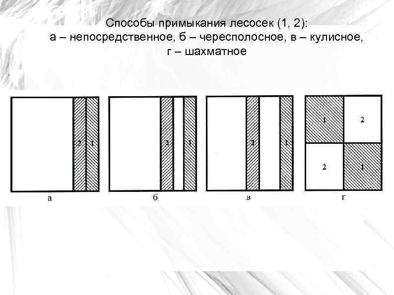 Способы примыкания лесосек (1, 2): а – непосредственное, б – чересполосное, в – кулисное,