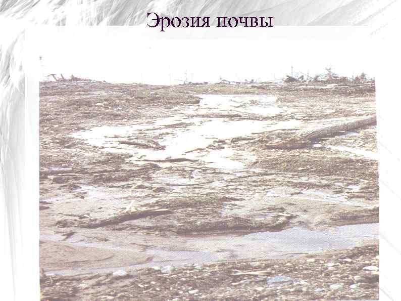 Эрозия почвы 