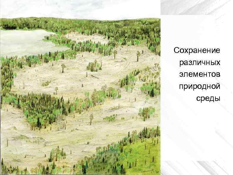 Сохранение различных элементов природной среды 