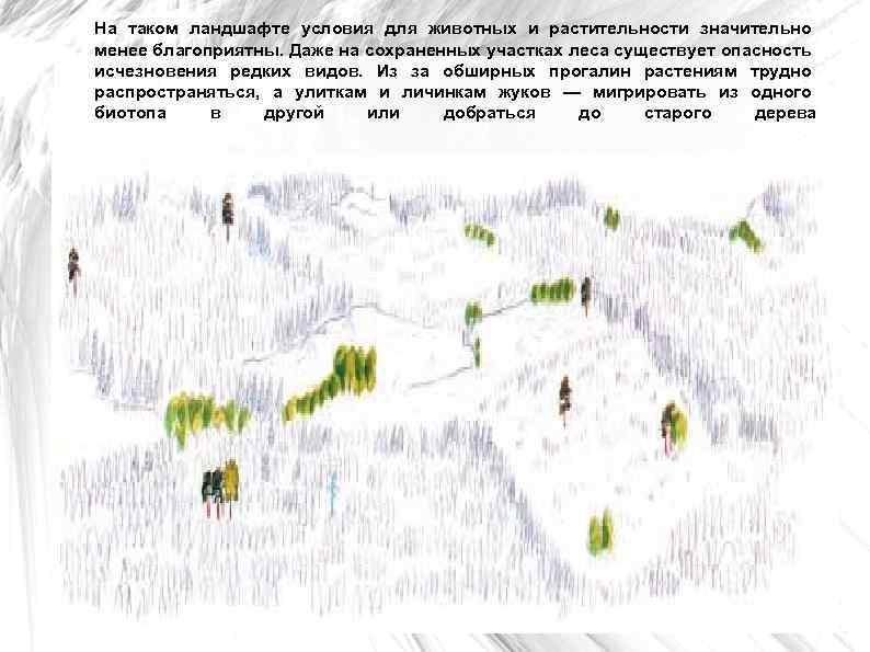 На таком ландшафте условия для животных и растительности значительно менее благоприятны. Даже на сохраненных