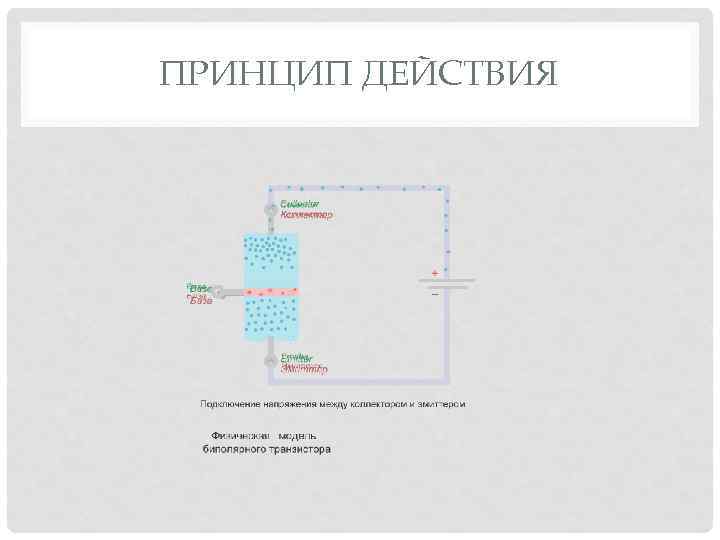 ПРИНЦИП ДЕЙСТВИЯ 