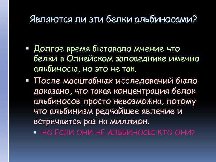 Являются ли эти белки альбиносами? Долгое время бытовало мнение что белки в Олнейском заповеднике