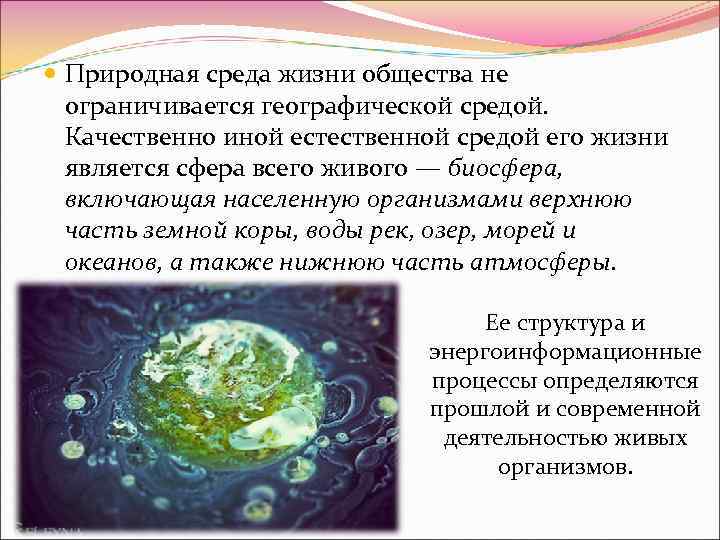  Природная среда жизни общества не ограничивается географической средой. Качественно иной естественной средой его