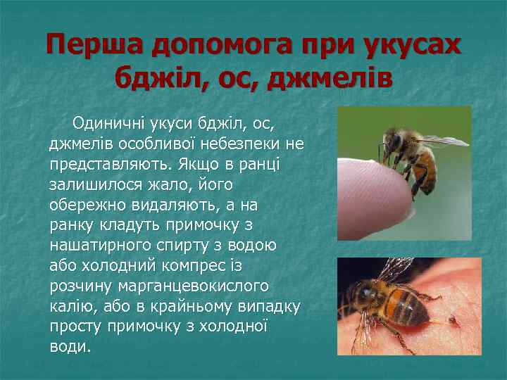 Перша допомога при укусах бджіл, ос, джмелів Одиничні укуси бджіл, ос, джмелів особливої небезпеки