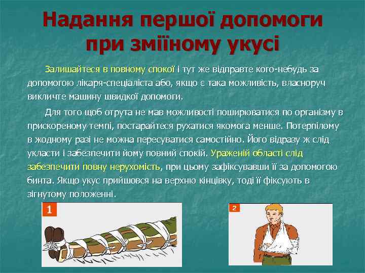 Надання першої допомоги при зміїному укусі Залишайтеся в повному спокої і тут же відправте