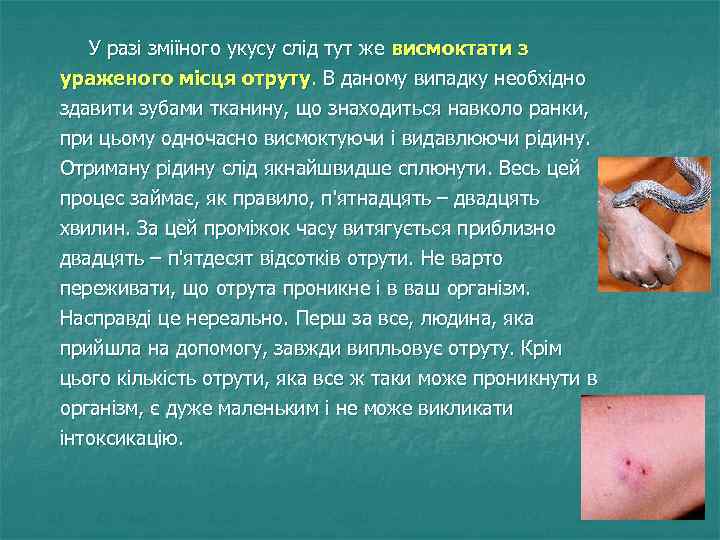  У разі зміїного укусу слід тут же висмоктати з ураженого місця отруту. В