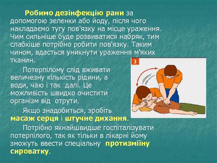  Робимо дезінфекцію рани за допомогою зеленки або йоду, після чого накладаємо тугу пов'язку