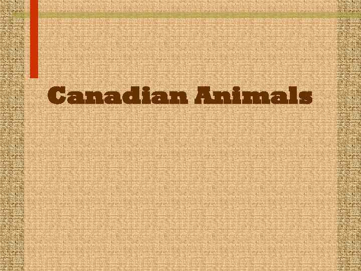 Canadian Animals 