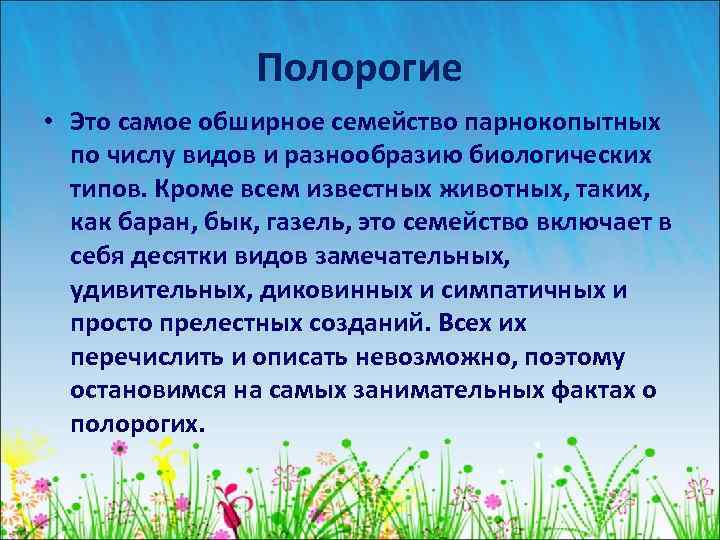 Полорогие • Это самое обширное семейство парнокопытных по числу видов и разнообразию биологических типов.