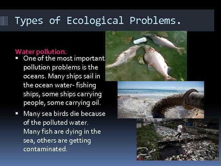 Types of Ecological Problems. Water pollution. One of the most important pollution problems is