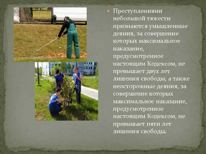  Преступлениями небольшой тяжести признаются умышленные деяния, за совершение которых максимальное наказание, предусмотренное настоящим