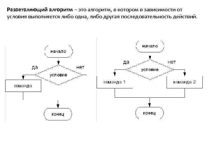 Линейные разветвляющиеся алгоритмы