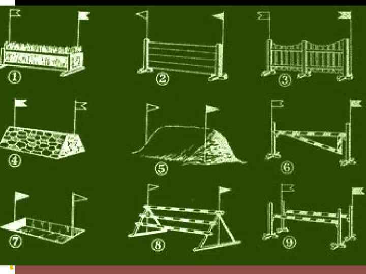 Виды препятствий. Разновидности барьеров в конкуре. Типы препятствий в конкуре. Виды барьеров в конном спорте. Название препятствий в конкуре.