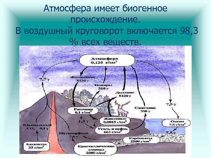 Энергетика биосферы