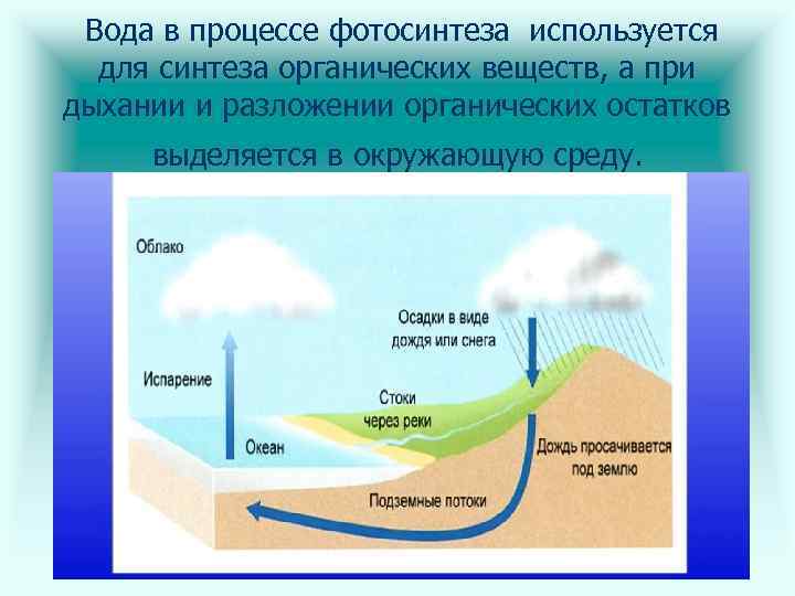 Цикл воды в организме. Схема круговорота воды. Круговорот веществ в биосфере вода. Схема круговорота воды химия. Схема круговорота вещества в биосфере вода.