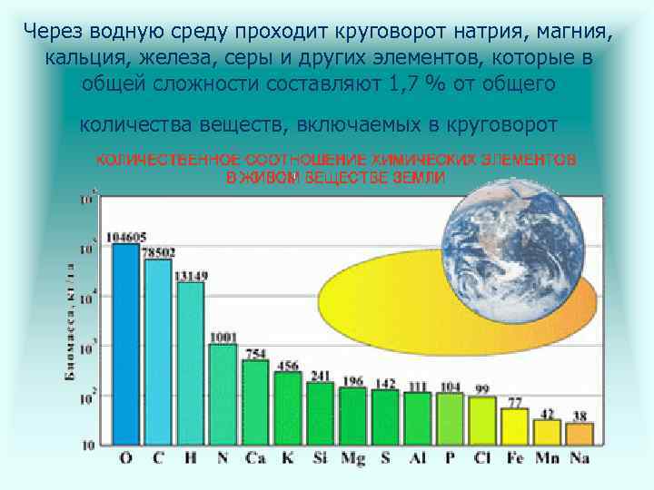 Через водную среду проходит круговорот натрия, магния, кальция, железа, серы и других элементов, которые