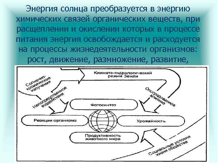 Химические процессы жизнедеятельности. Энергия органических веществ это. Солнечная энергия преобразуется в энергию химических связей. Взаимопревращение энергии в химических процессах. Во что преобразуется энергия солнца.