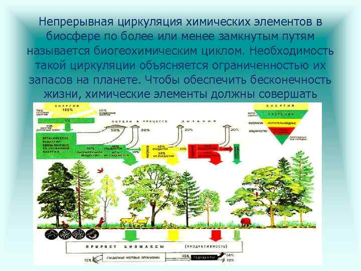 Преобразование биосферы. Непрерывная циркуляция химических элементов в биосфере. Антропогенный круговорот веществ. Круговорот веществ и энергии в биосфере. Круговорот химических элементов в биосфере.