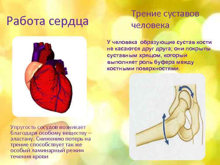 Физика работы сердца. Работа сердца. Трение сердца. Работа сердца происходит благодаря. Защита сердца.