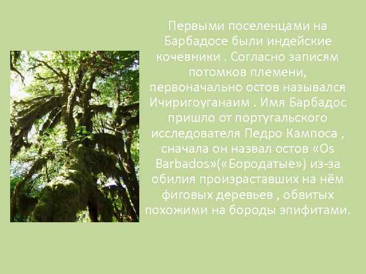 Первыми поселенцами на Барбадосе были индейские кочевники. Согласно записям потомков племени, первоначально остов назывался