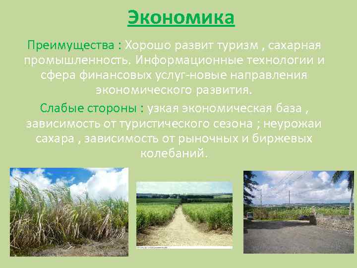 Экономика Преимущества : Хорошо развит туризм , сахарная промышленность. Информационные технологии и сфера финансовых