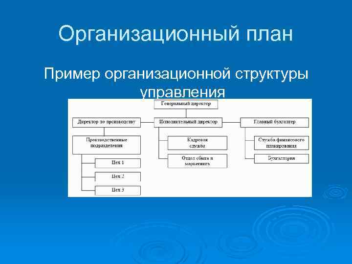 Организационный план включает в себя