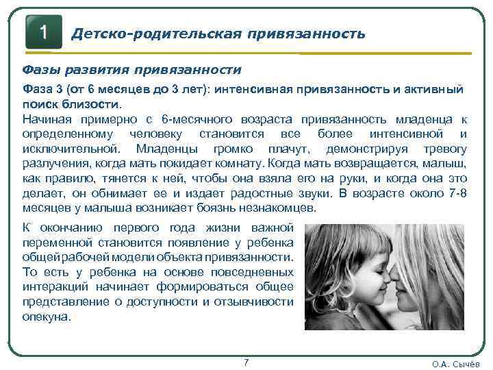 Детско-родительская привязанность Фазы развития привязанности Фаза 3 (от 6 месяцев до 3 лет): интенсивная