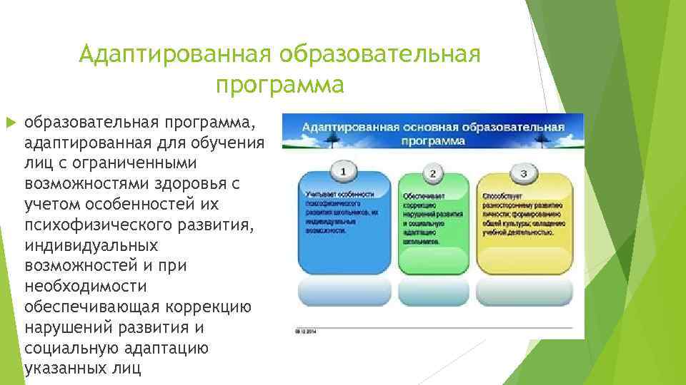 Адаптированная образовательная программа, адаптированная для обучения лиц с ограниченными возможностями здоровья с учетом особенностей