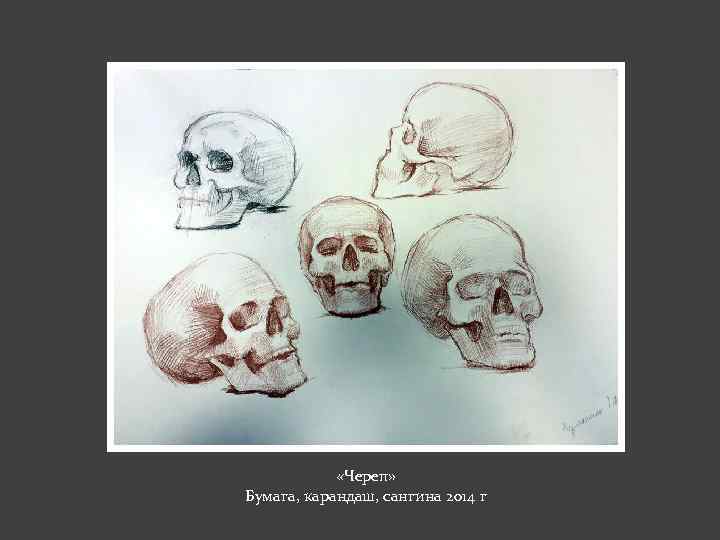  «Череп» Бумага, карандаш, сангина 2014 г 