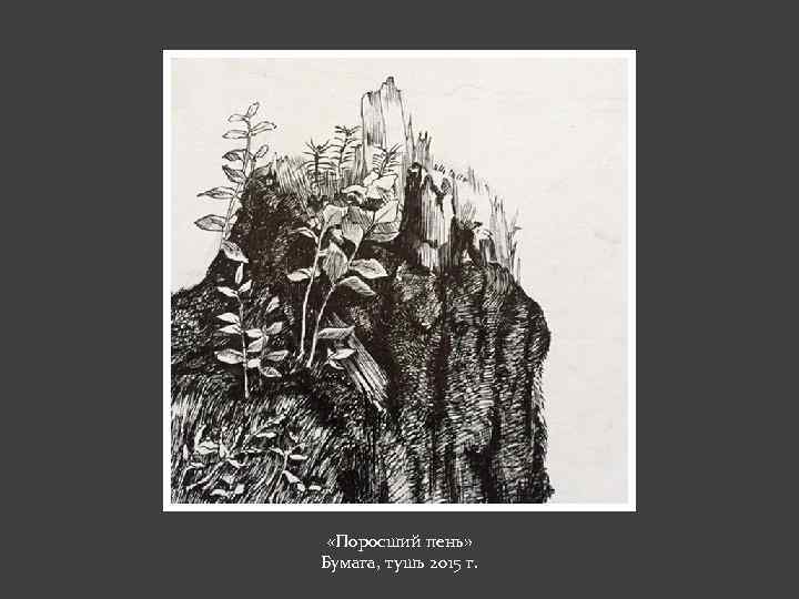  «Поросший пень» Бумага, тушь 2015 г. 
