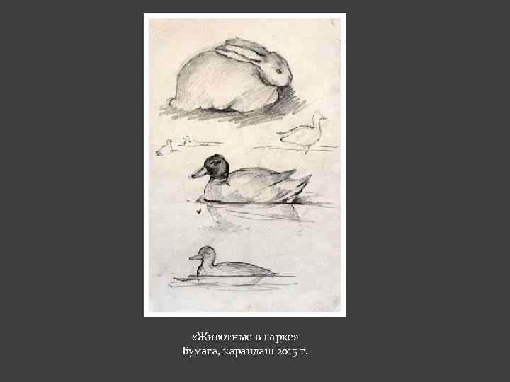  «Животные в парке» Бумага, карандаш 2015 г. 