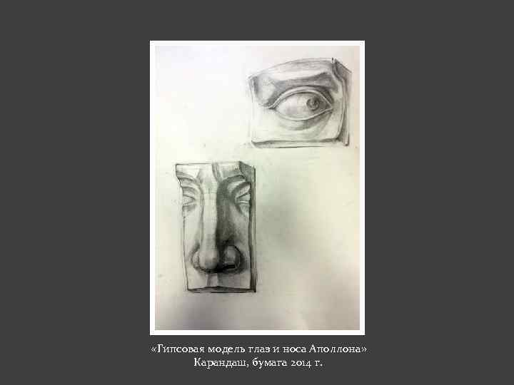  «Гипсовая модель глаз и носа Аполлона» Карандаш, бумага 2014 г. 