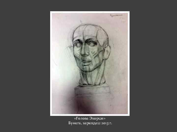  «Голова Экорше» Бумага, карандаш 2013 г. 