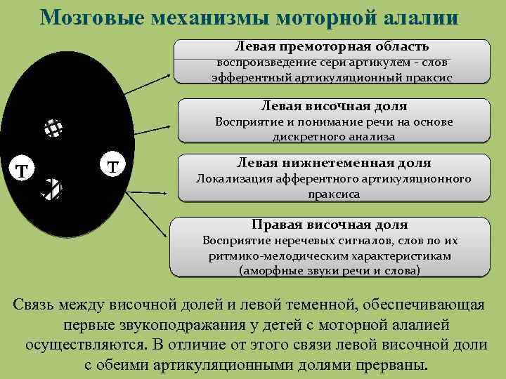 Сенсорно моторная алалия признаки