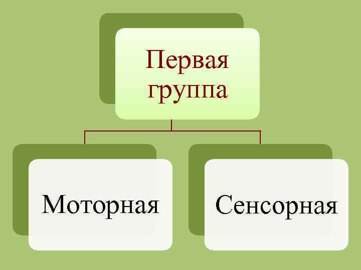 Первая группа Моторная Сенсорная 
