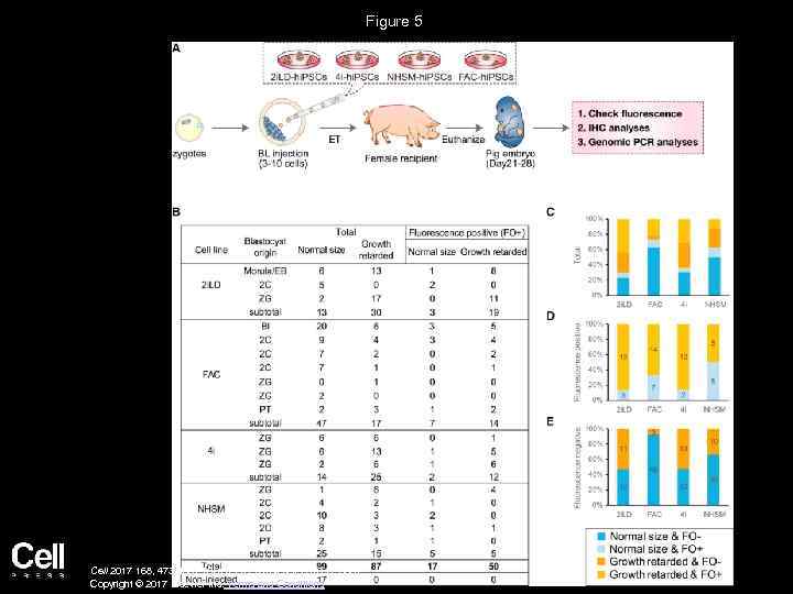 Figure 5 Cell 2017 168, 473 -486. e 15 DOI: (10. 1016/j. cell. 2016.