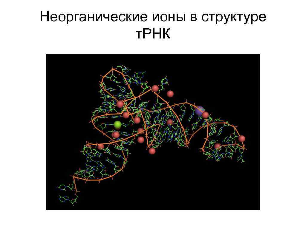 Неорганические ионы в структуре т. РНК 
