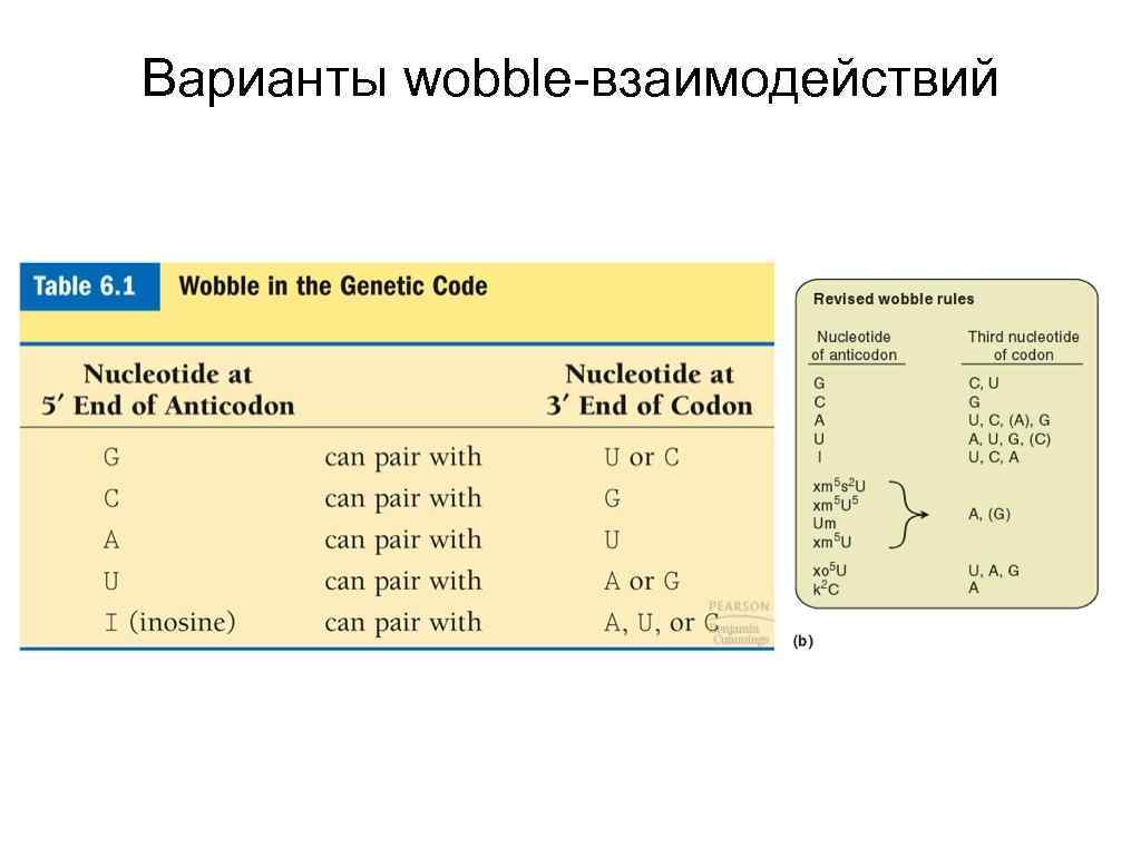 Варианты wobble-взаимодействий 