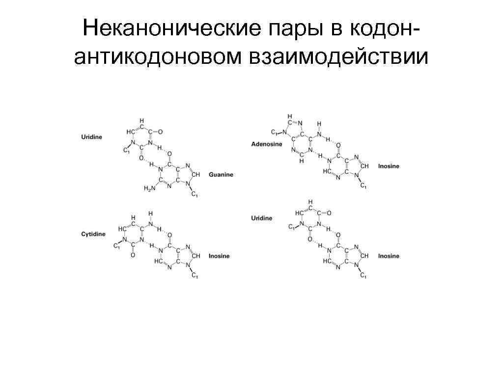 Неканонические пары в кодонантикодоновом взаимодействии 