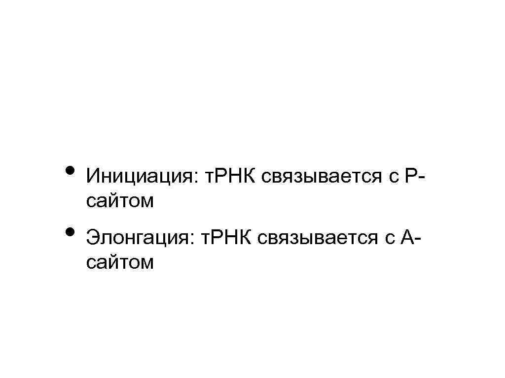  • Инициация: т. РНК связывается с Рсайтом • Элонгация: т. РНК связывается с