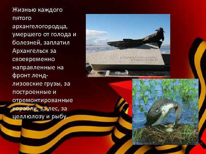 Жизнью каждого пятого архангелогородца, умершего от голода и болезней, заплатил Архангельск за своевременно направленные