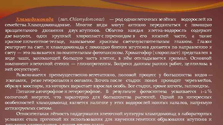 Хламидомонада (лат. Chlamydomonas) — род одноклеточных зелёных водорослей из семейства Хламидомонадовые. Многие виды могут