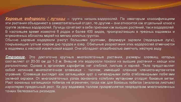 Харовые водоросли / лучицы – группа низших водорослей. По некоторым классификациям эти растения объединяют