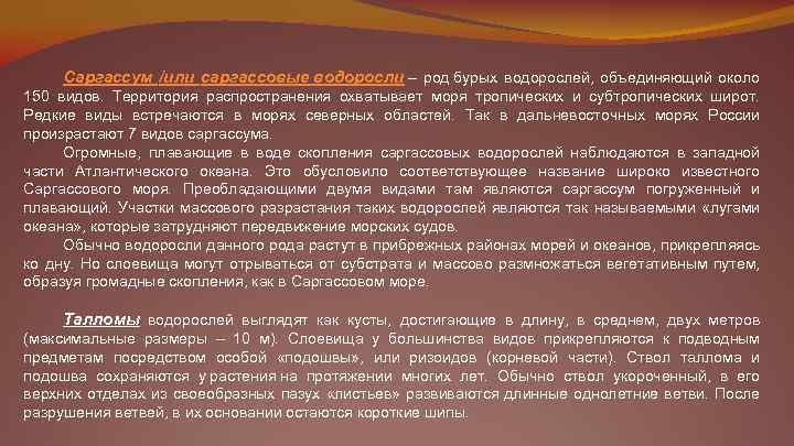 Саргассум /или саргассовые водоросли – род бурых водорослей, объединяющий около 150 видов. Территория распространения