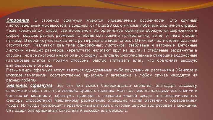 Строение. В строении сфагнума имеются определенные особенности. Это крупный листостебельный мох высотой, в среднем,